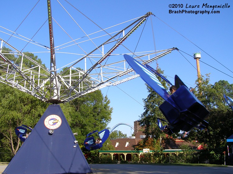 Flying Eagles has been in the pack since 1974.  Ths is the 4th name for the ride.  In the past, Flying Eagles has been known as: Parrot Troopers, Flying Ships and Scream Weaver.