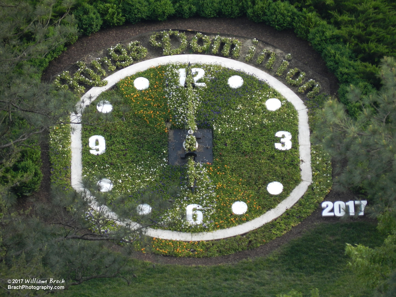 Garden Clock early in the 2017 season.