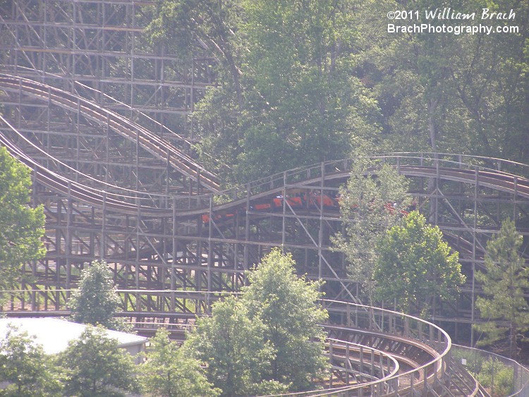 Grizzly's orange train running the course.