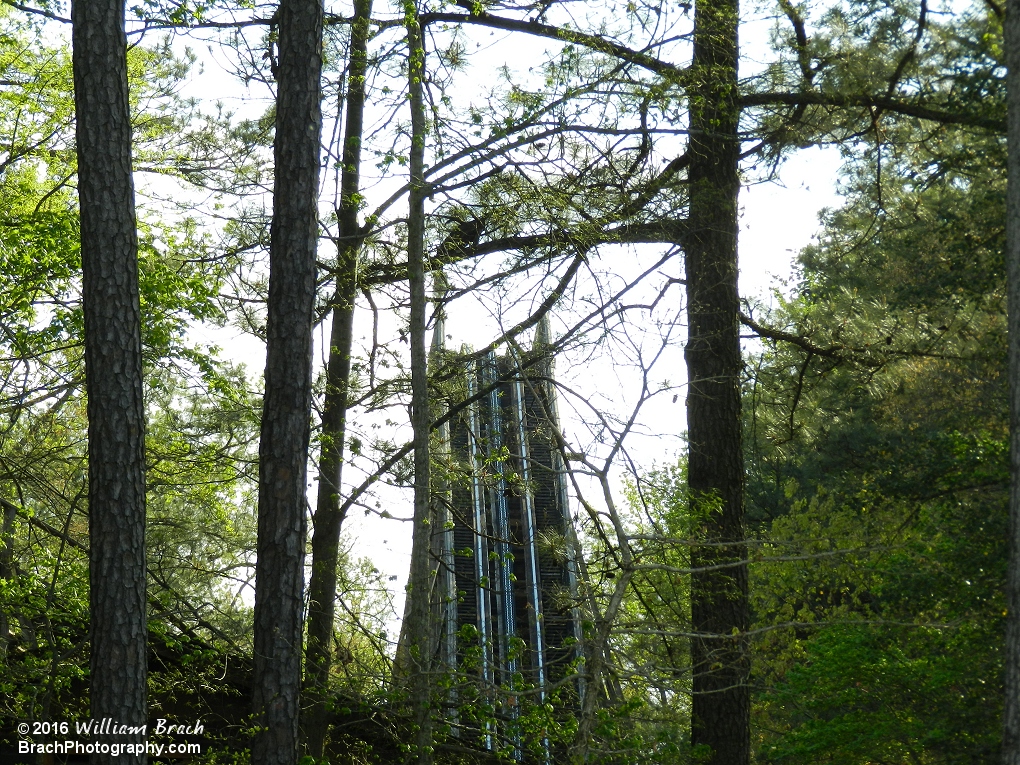 Looking at Grizzly's lift hill.