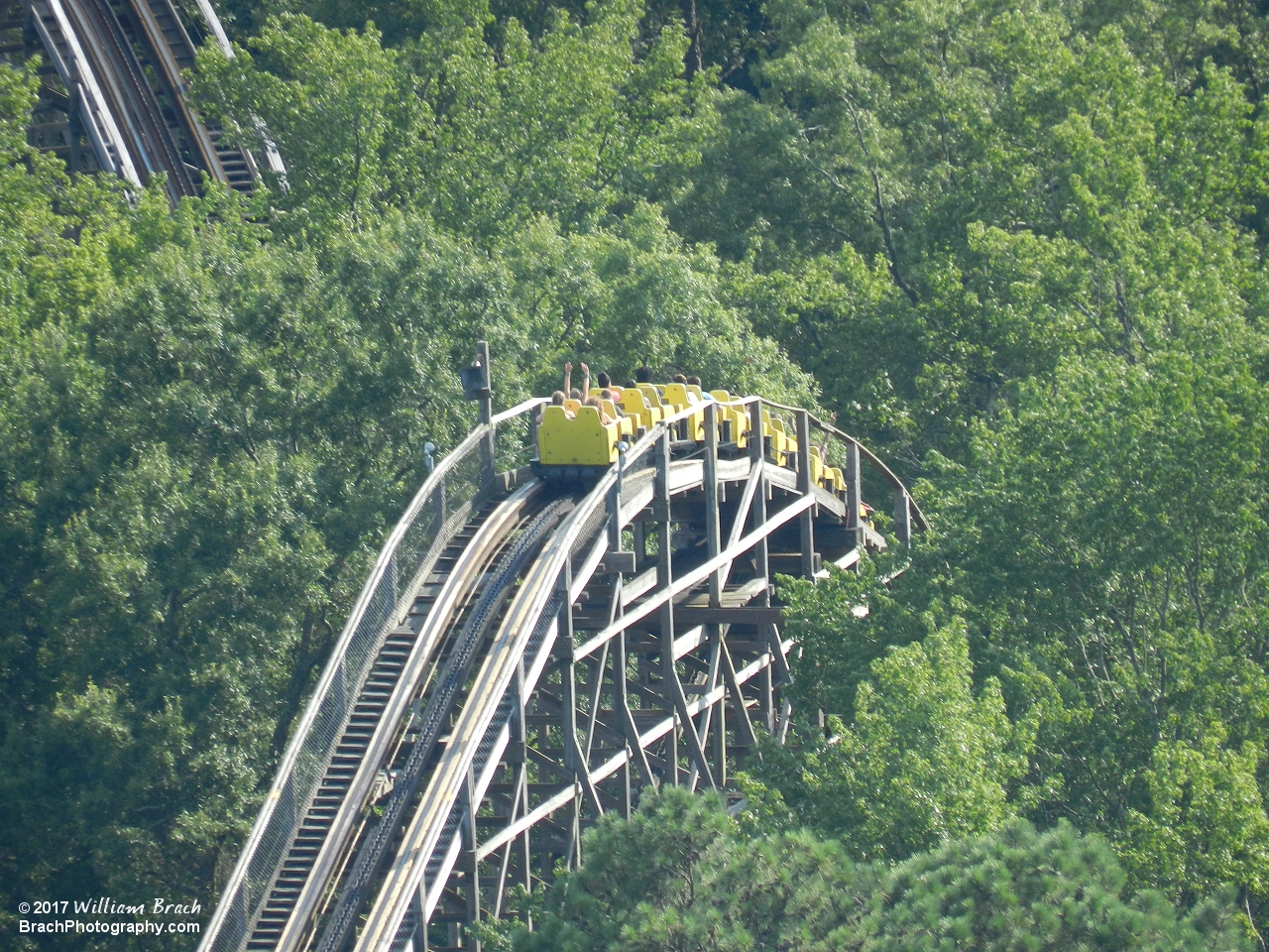 Grizzly's yellow train cresting the top of the lift hill.