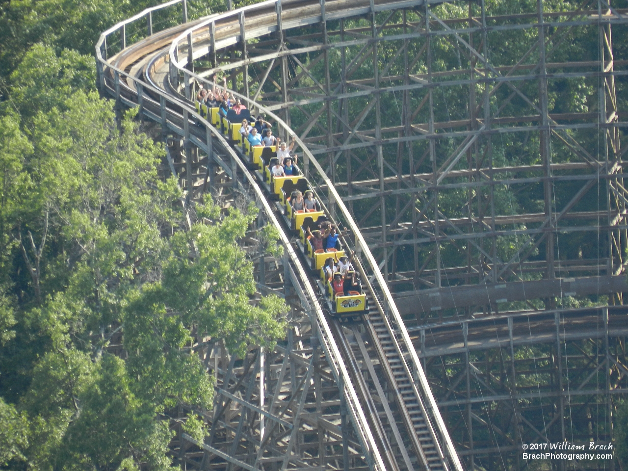 Grizzly's yellow train going down the second drop.