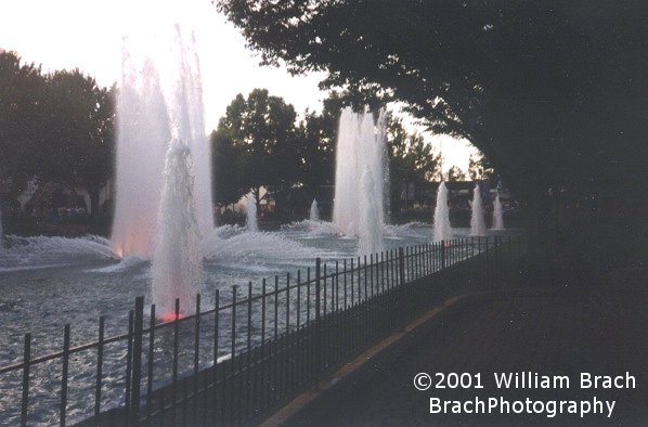 Water fountains and grown trees line the main entrance street.