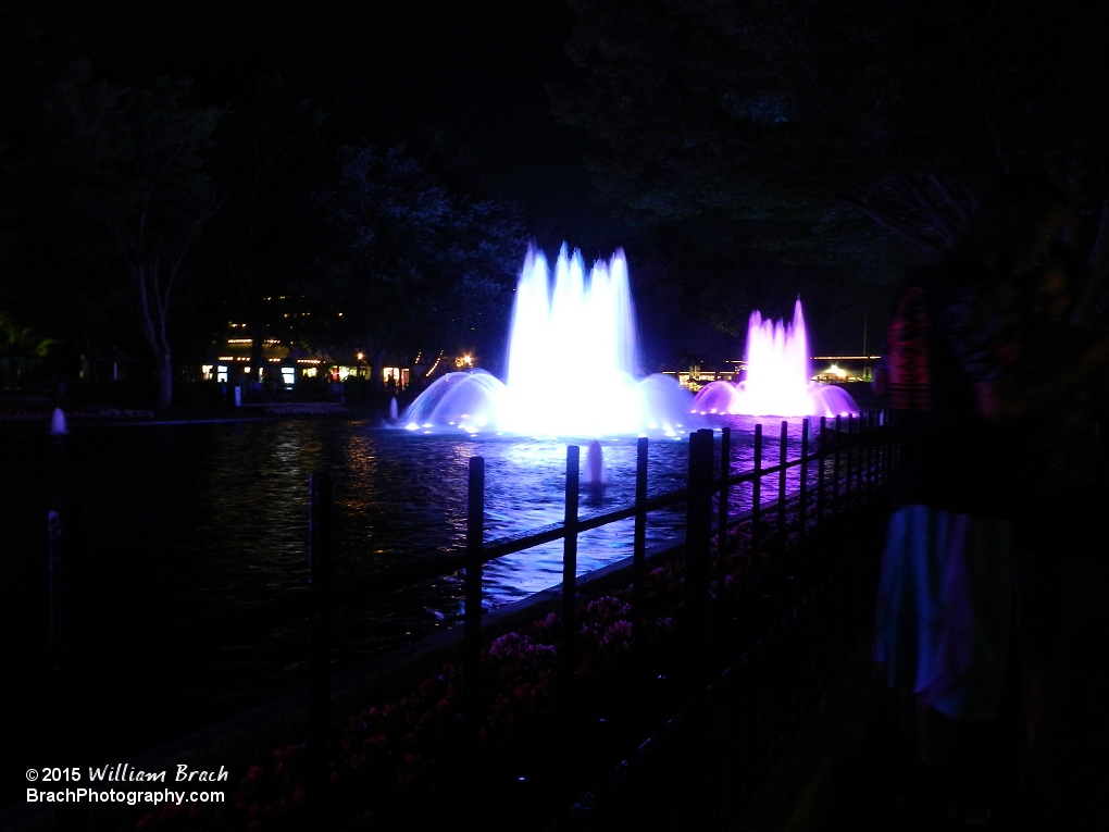 The fountains on International Street lit up at night.