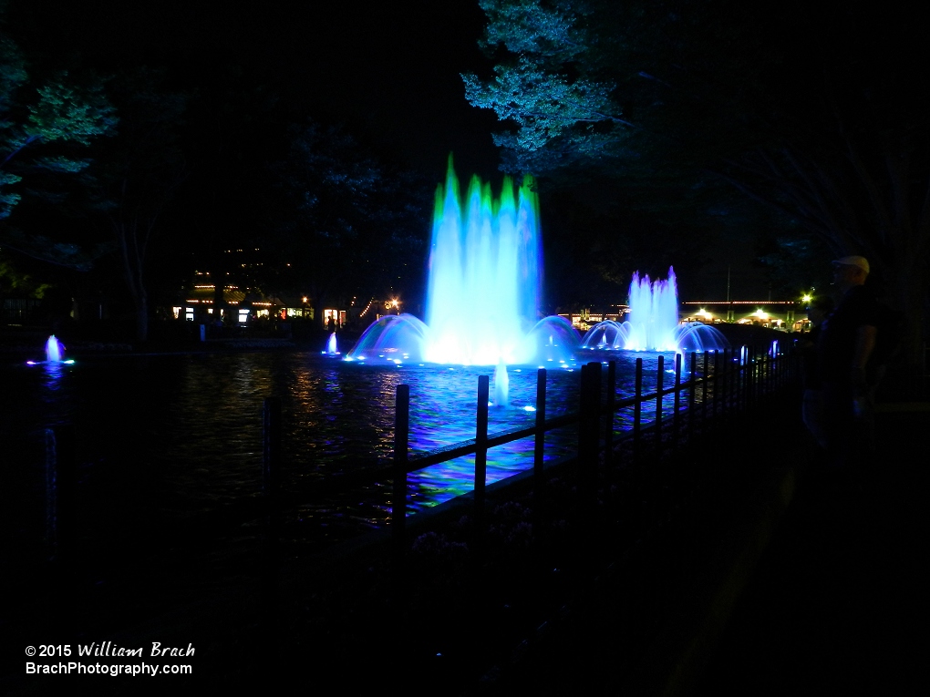 The fountatins on International Street lit up at night.