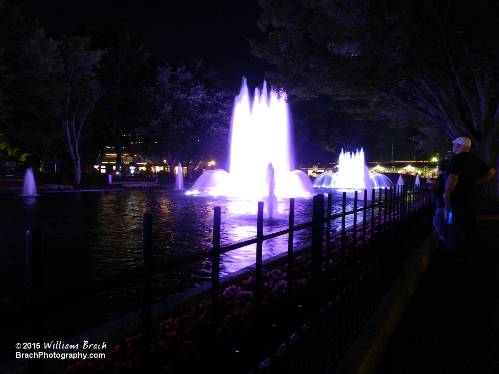 The fountatins on International Street lit up at night.