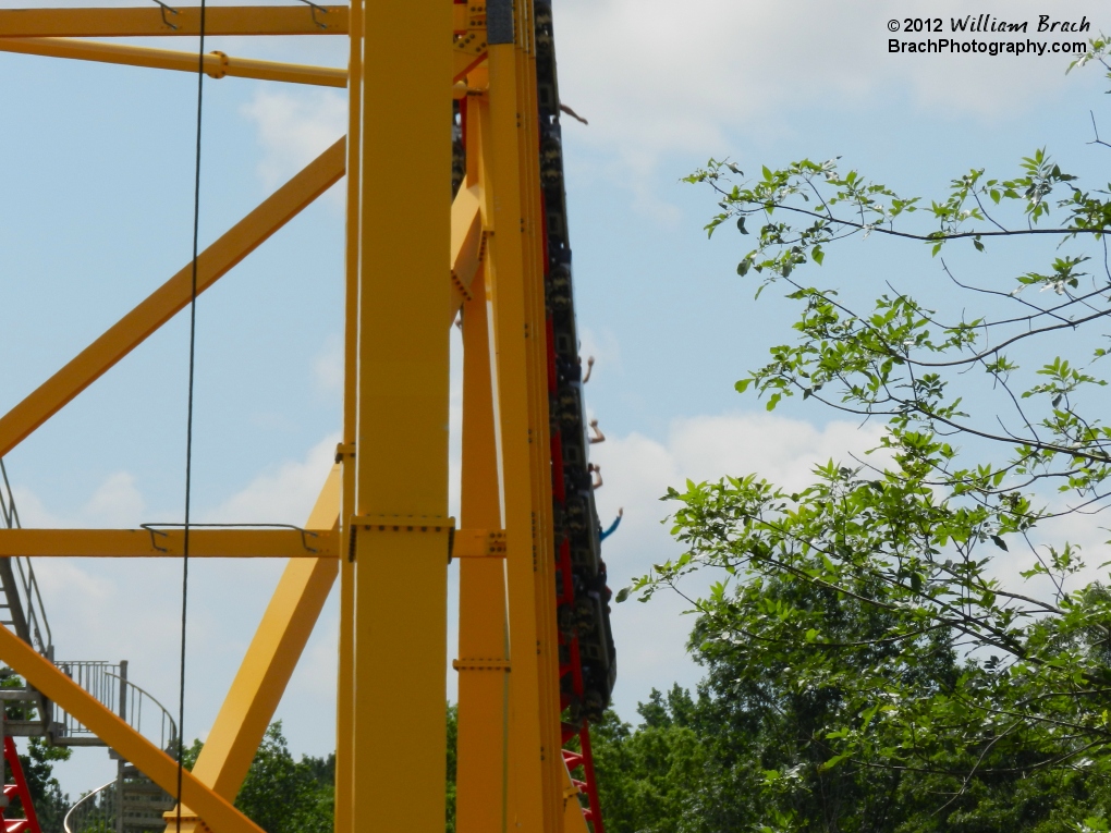 Train dropping down the first drop.