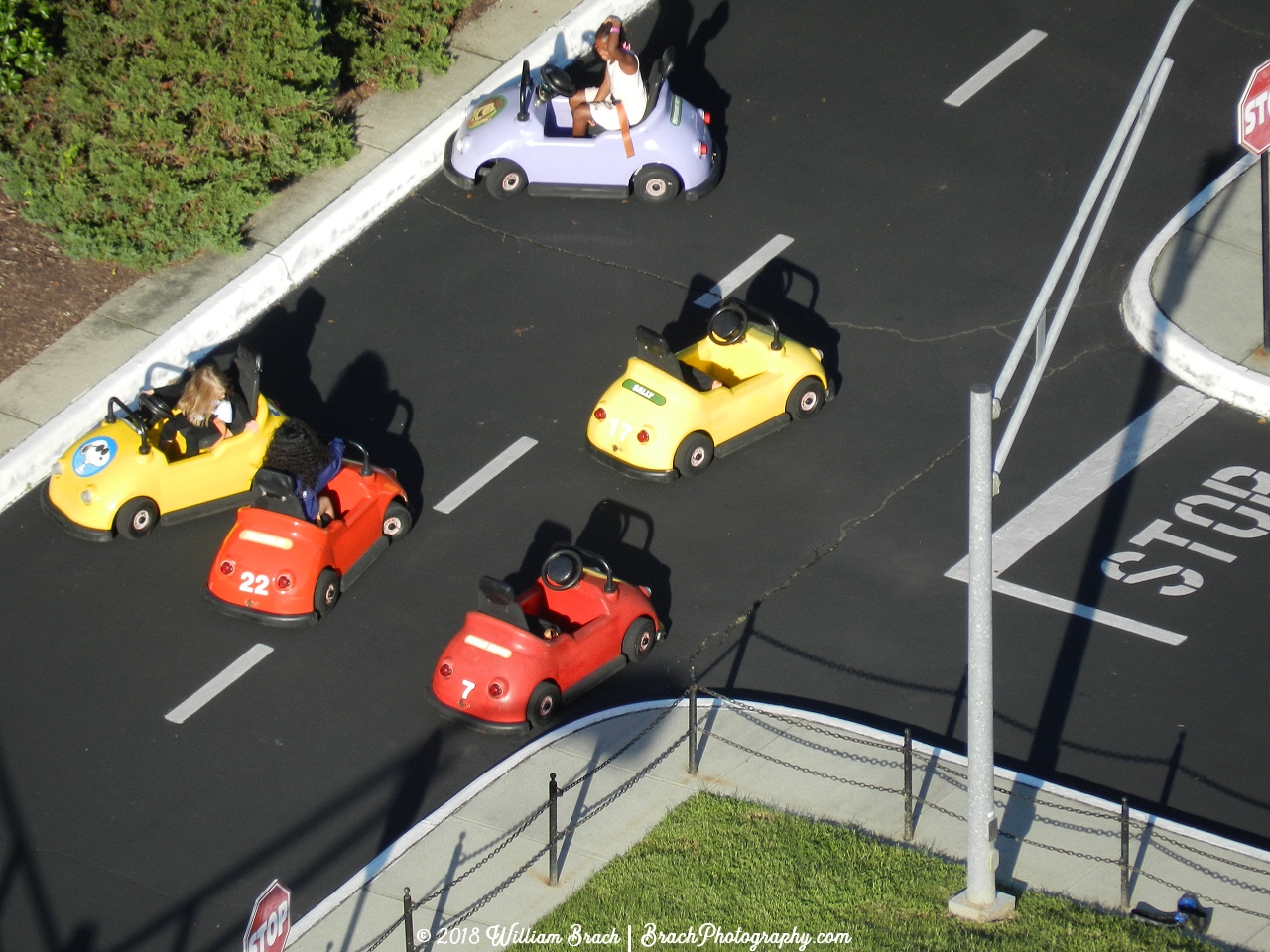 It's pure chaos in the Joe Cool's Driving School!