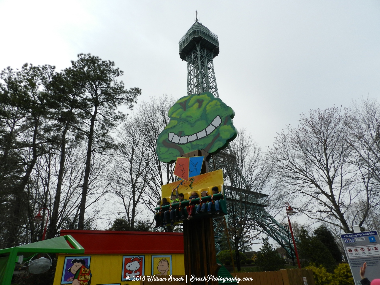 This tree loves to eat kites - especially any flown by a well known Charlie Brown!