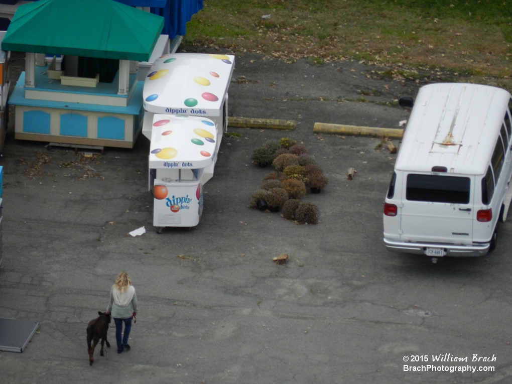 Found the mobile Dippin Dots stands that have been missing from inside the park.