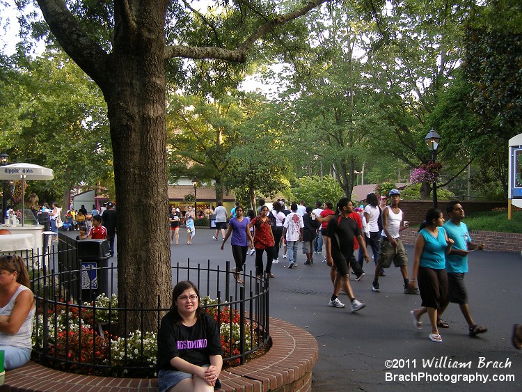 Views of the park in Old Virginia.