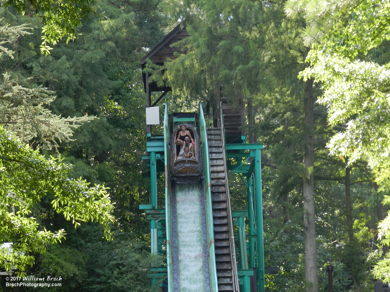 Heading down the drop on the Shenandoah Lumber Company!