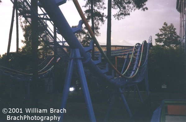 View of the bunny hills on Shockwave.