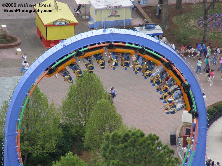 Shockwave's only inversion, a vertical loop.