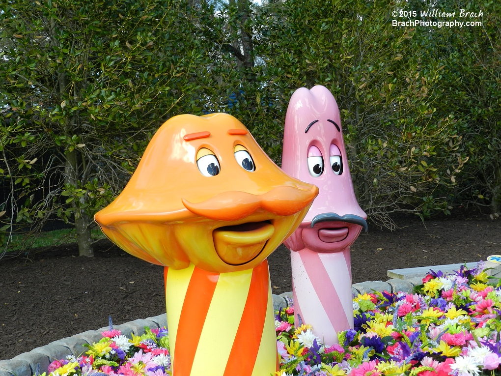 Orange and Tall Pink mushrooms.