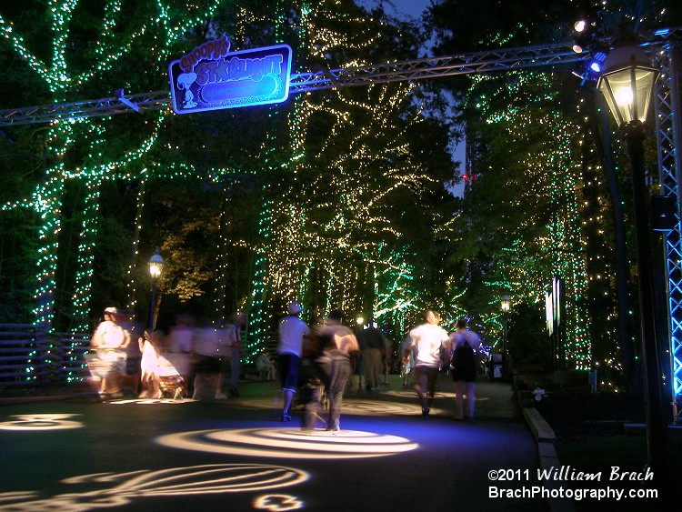 Main pathway all lit up at night.