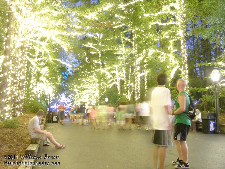 Wow.  These white LED lights really make it feel like it's daytime again.  Kings Dominion really knocked this out of the woods.  Nice job Kings Dominion - Can't wait to see this in 2012!