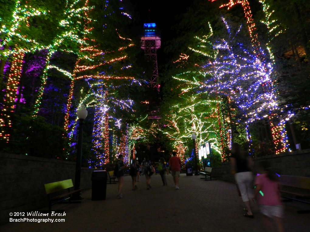 Lots of pretty colored lights lighting up the night.