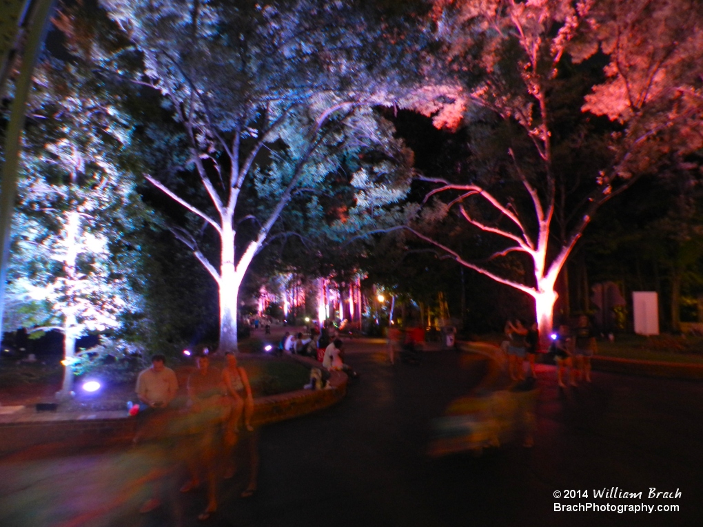 Kings Dominion really seems to come alive at night!