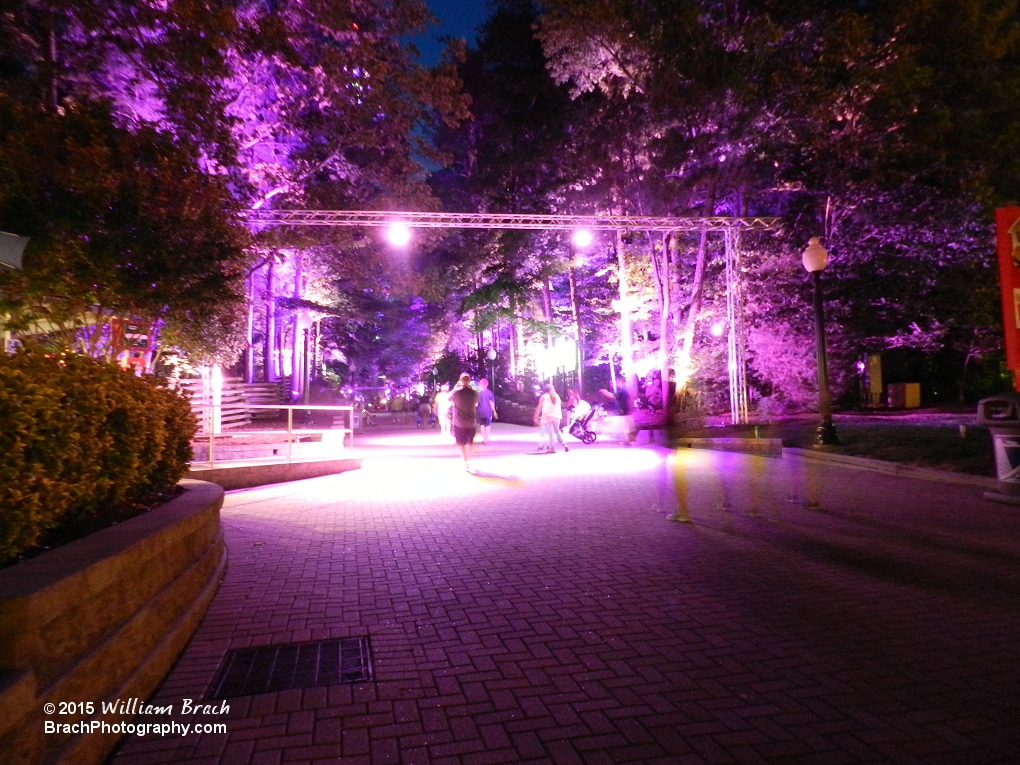 Good to see this attraction has returned again for the 2015 season!  Fun to walk through this pathway with these lights!