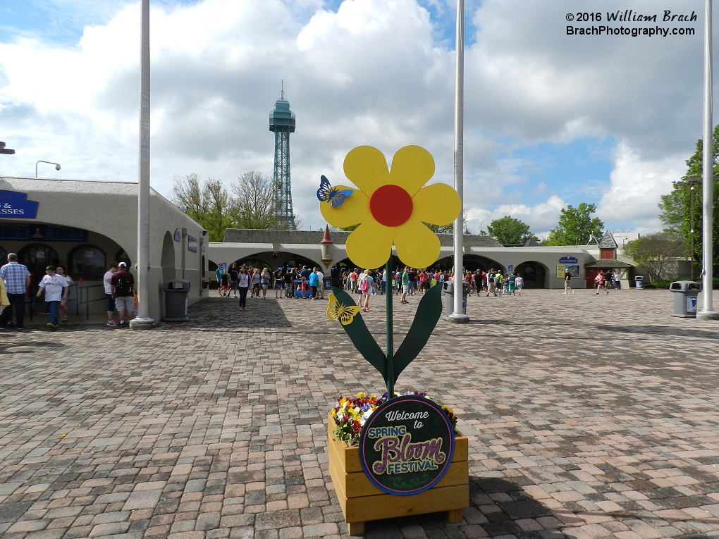 It's Spring time, so it must be time for Spring Bloom!