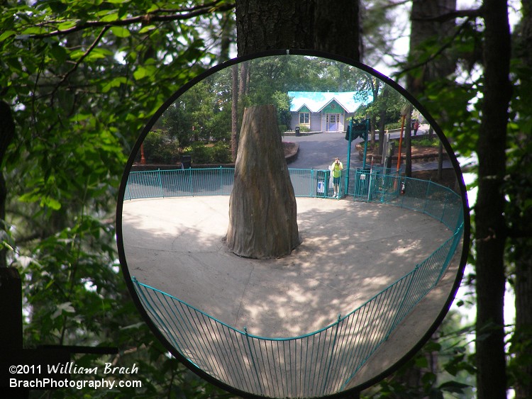 Curved mirrors offer a different perspective on things.  Here's the Swing-A-Round in the mirror.