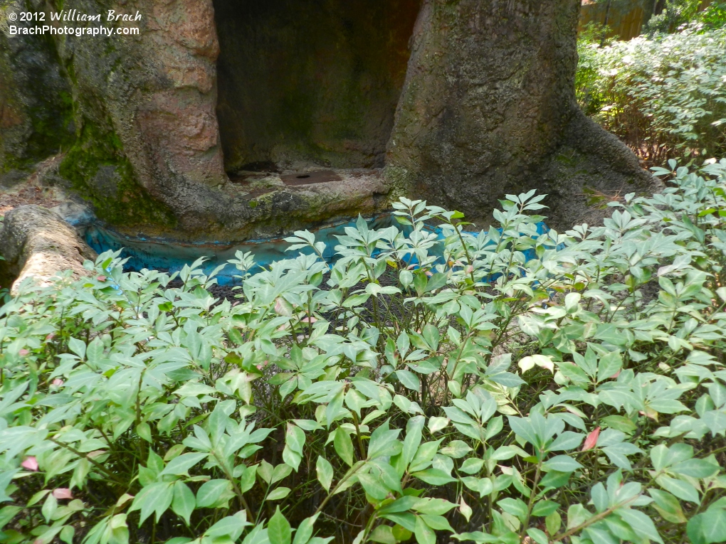 Treasure Cave Remembered: Yogi Bear's fishing spot.