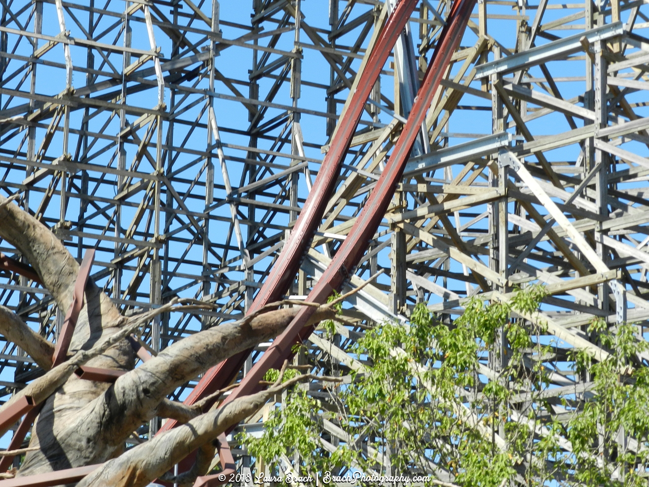 Twisted Timbers first drop.