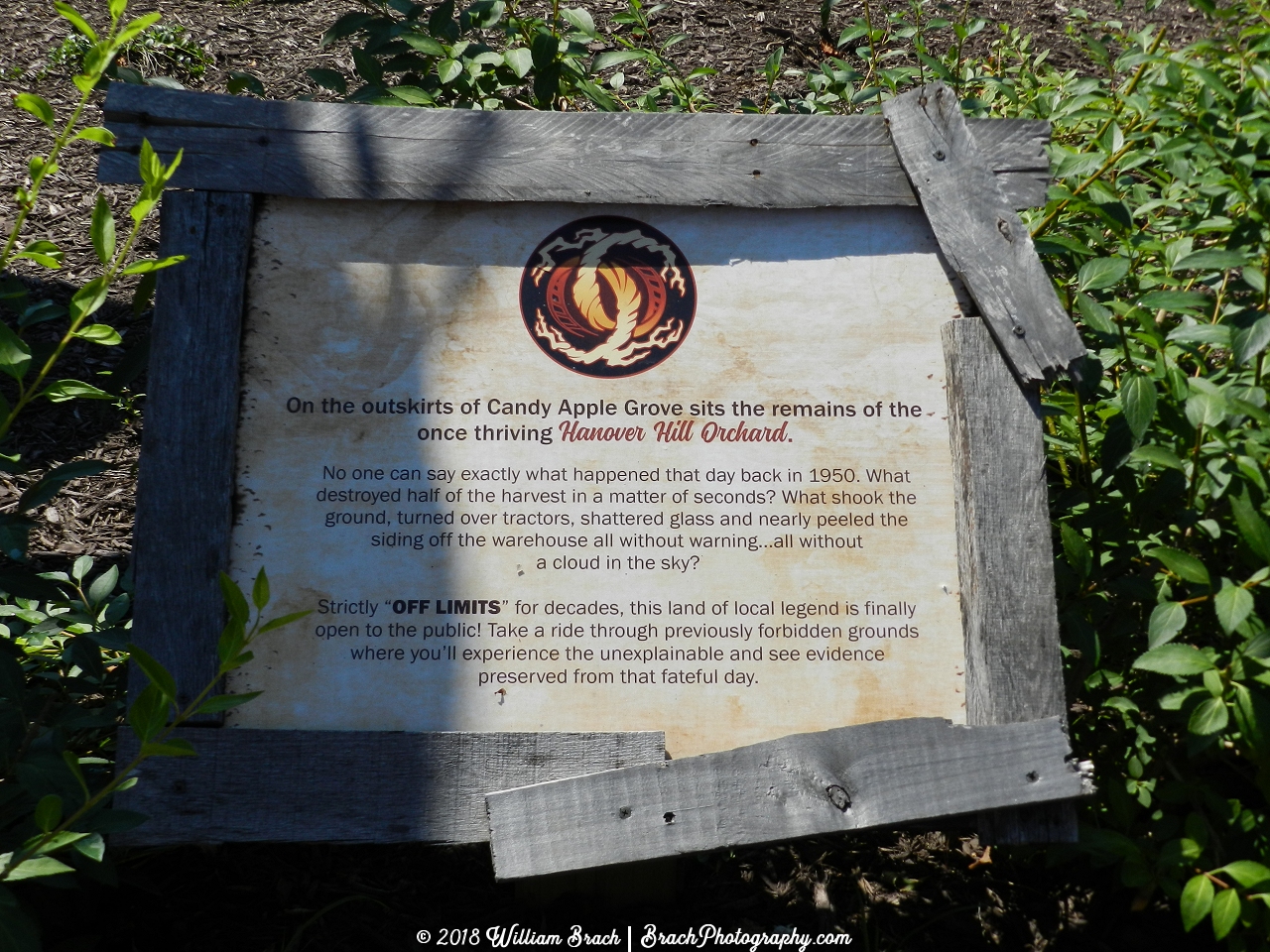 Twisted Timbers' backstory history on the ride.