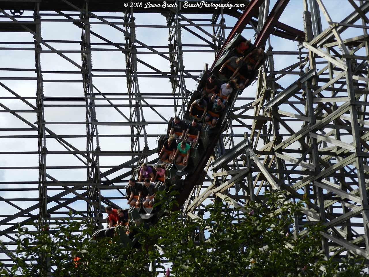 Twisted Timbers first drop is a barrel roll.  You're going upside down in the first drop.