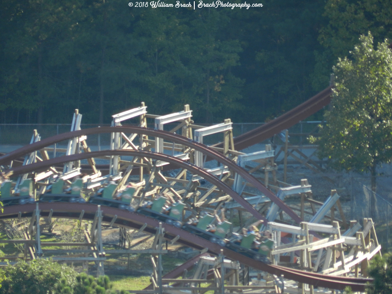 Green Twisted Timbers train running.