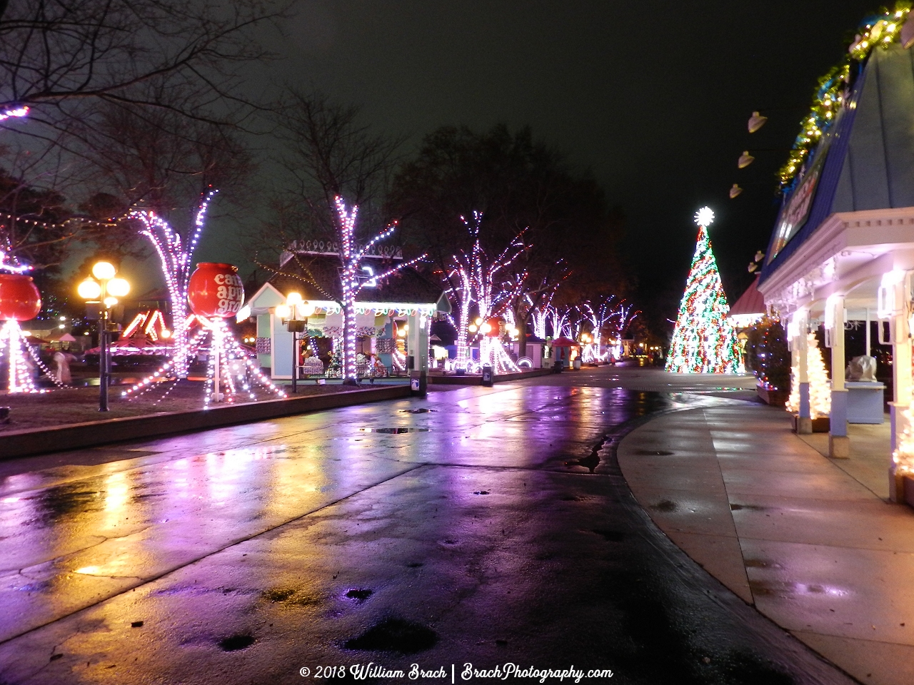 All lit up with dancing lights for WinterFest!