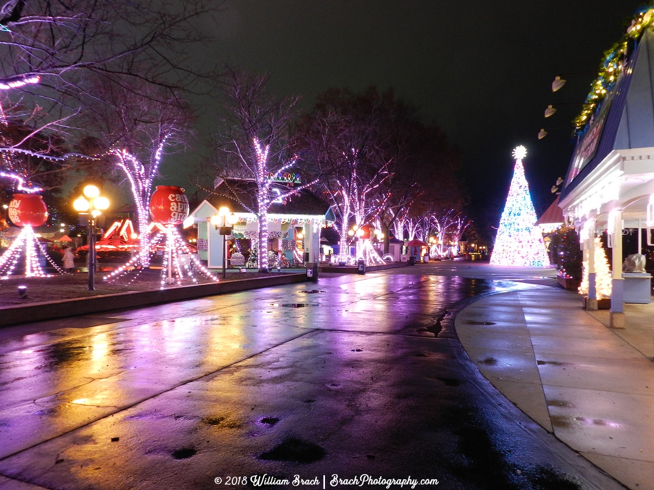 All lit up with dancing lights for WinterFest!