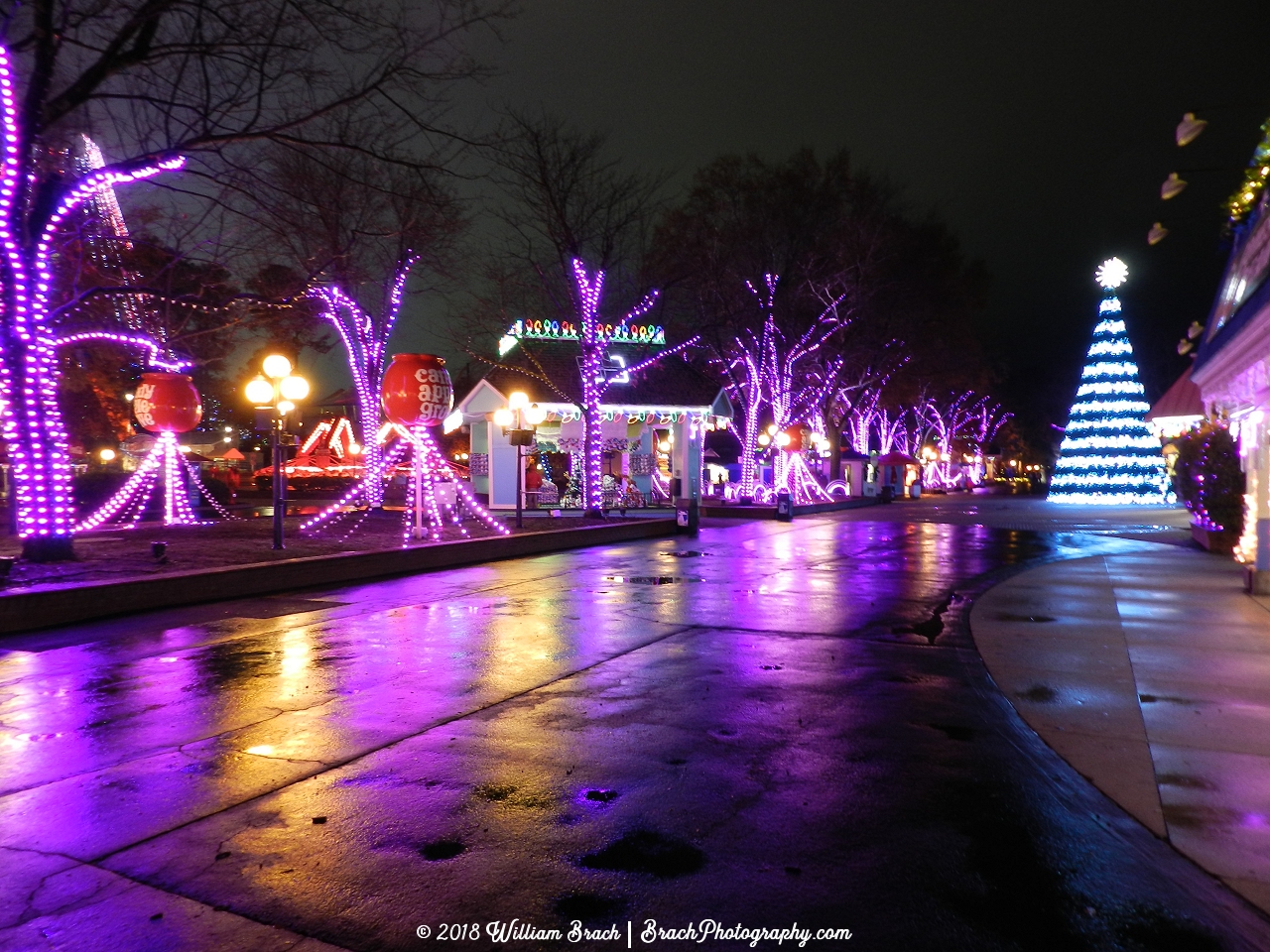 All lit up with dancing lights for WinterFest!