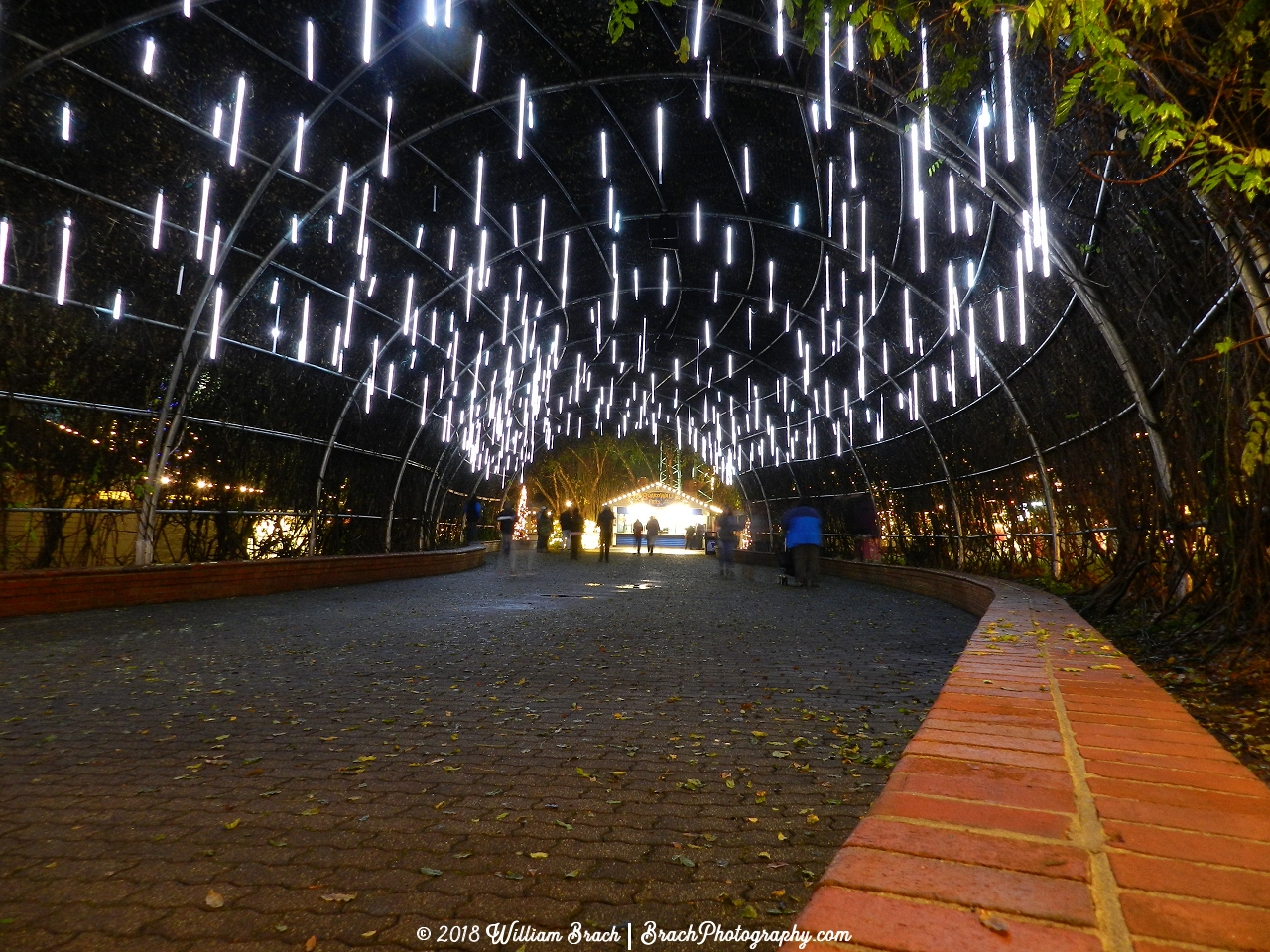 The Arbor all decorated with icicle lights for WinterFest.