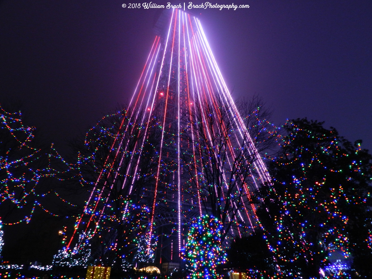 The Eiffel Tower Tree all it up for WinterFest!