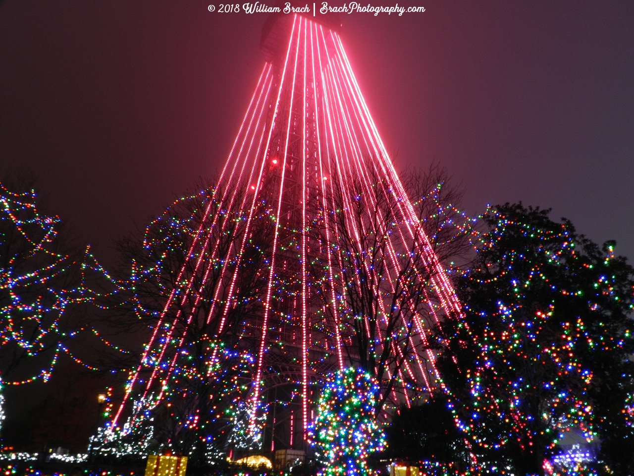 The Eiffel Tower Tree all it up for WinterFest!