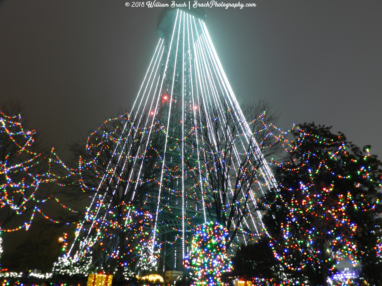 The Eiffel Tower Tree all it up for WinterFest!