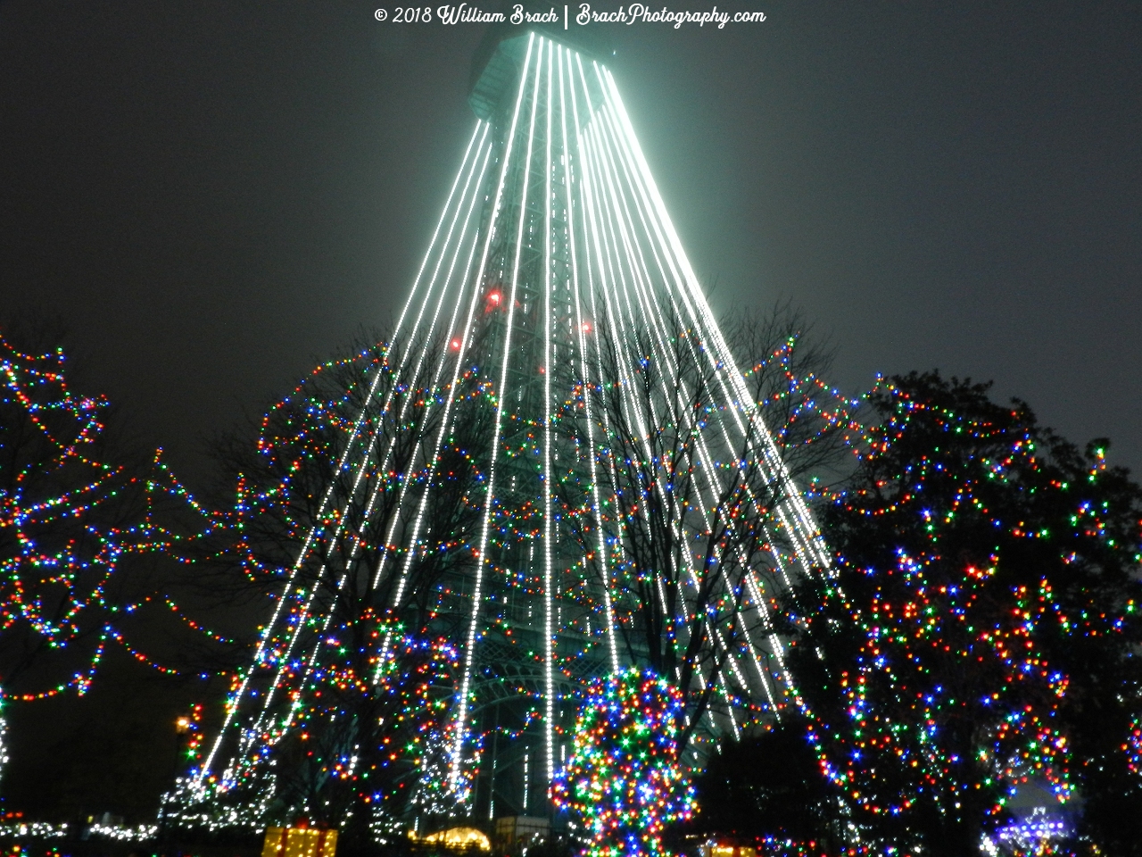 The Eiffel Tower Tree all it up for WinterFest!