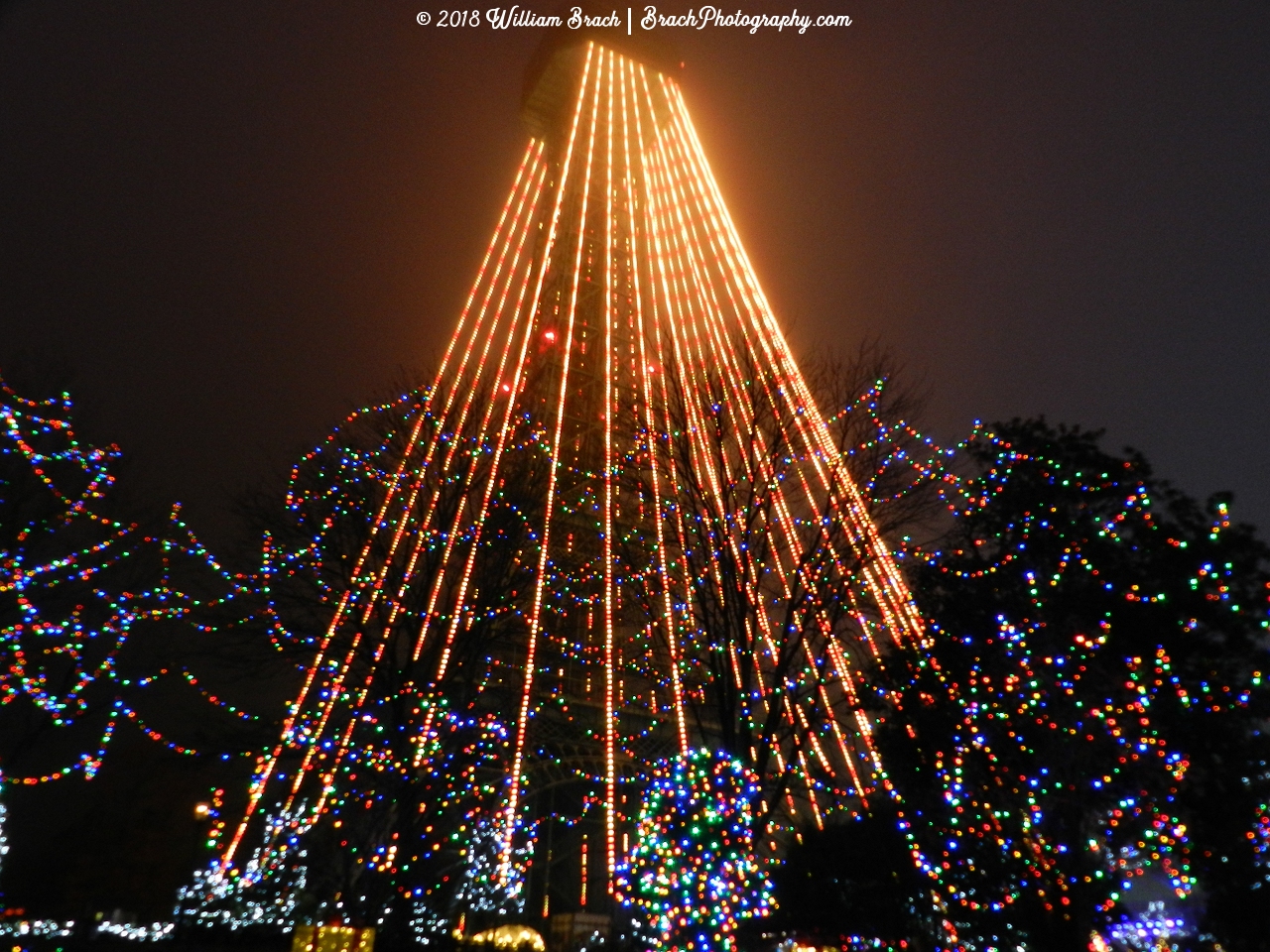 The Eiffel Tower Tree all it up for WinterFest!