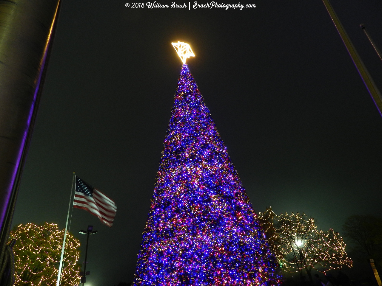 Outside the park's entrance is this huge Christmas tree that is just beautiful to look at.