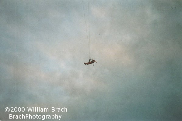 Skycoaster rider in the middle of nowhere.