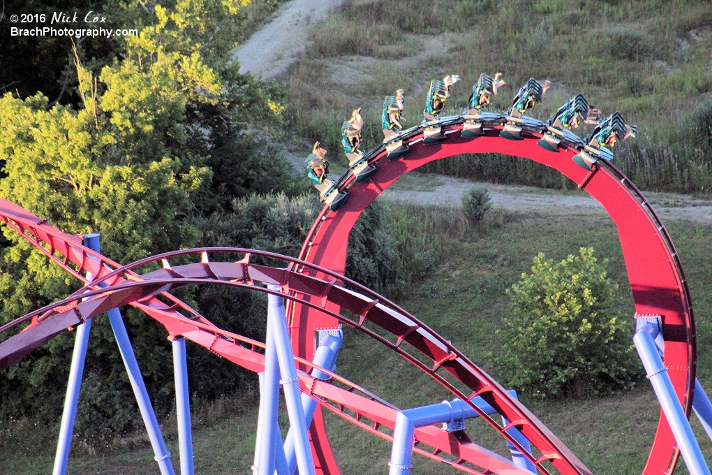 The second vertical loop.