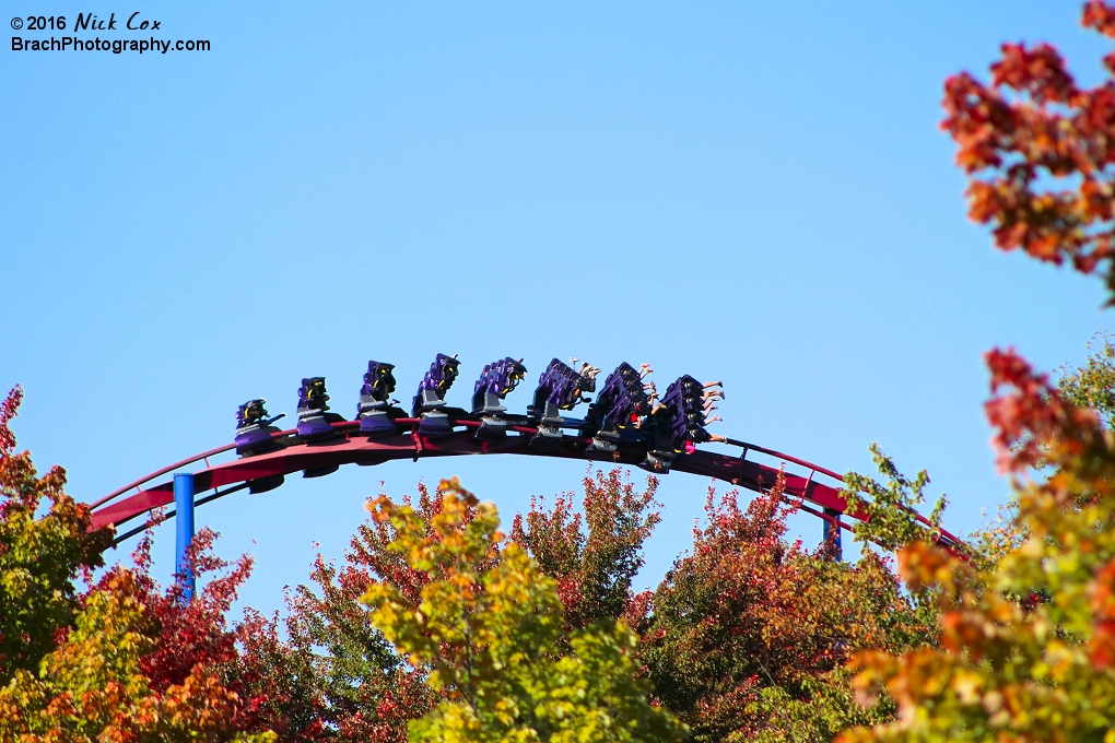 Banshee flying over the fall foliage.