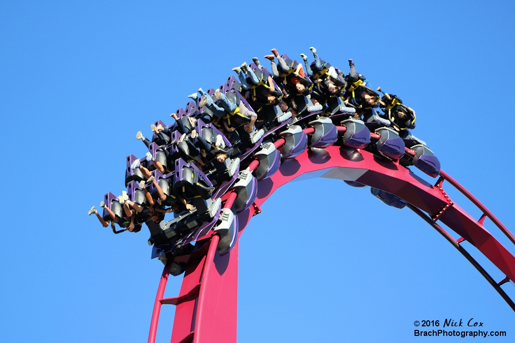 Riders hanging upside down in the dive loop.