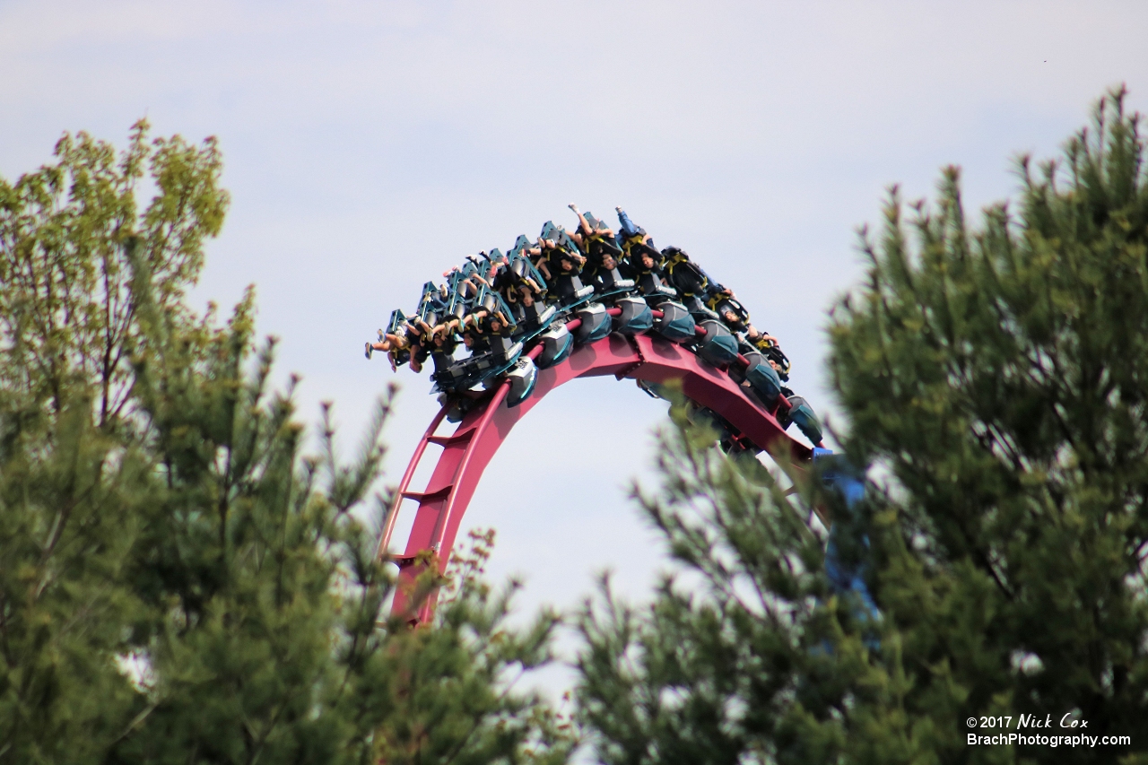 Banshee flying over the trees.