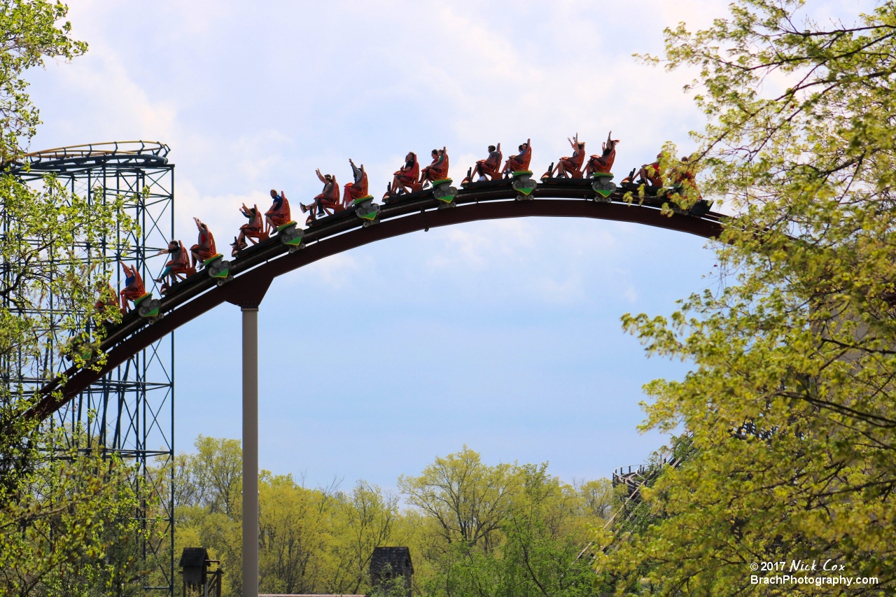 Diamondback flying over the hill.