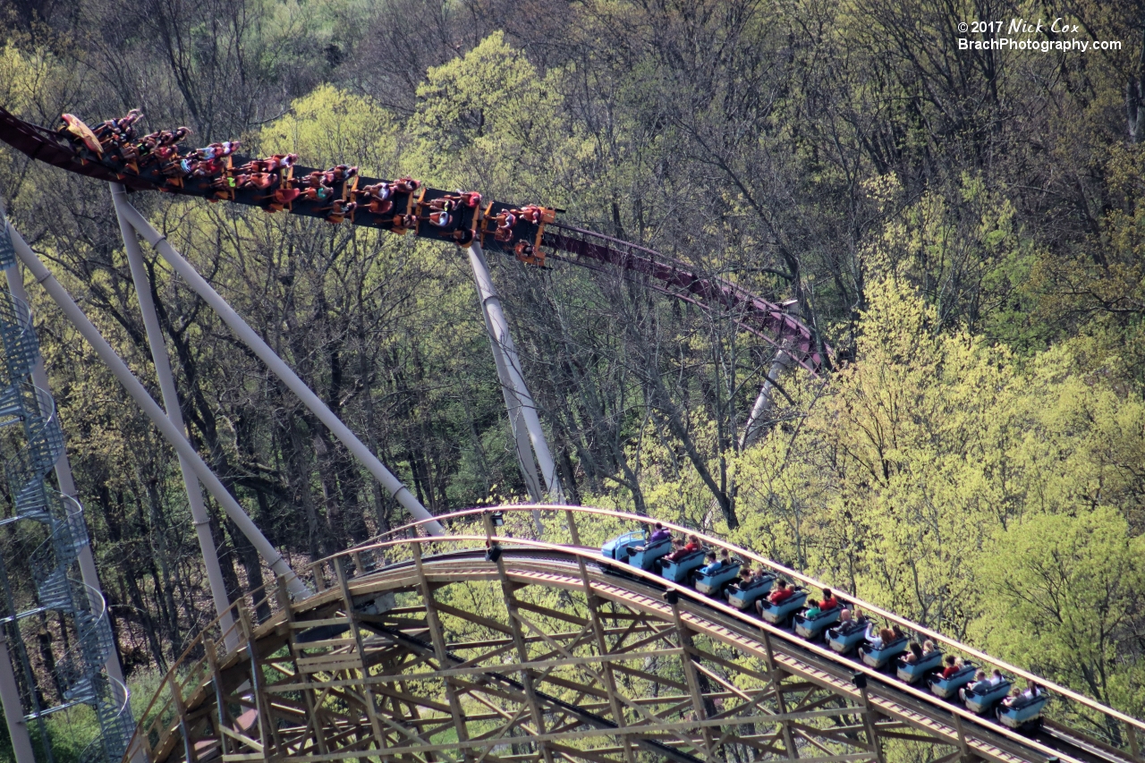 Diamondback and Mystic Timbers.