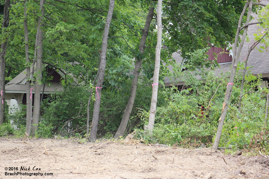 Trees around the construction site.