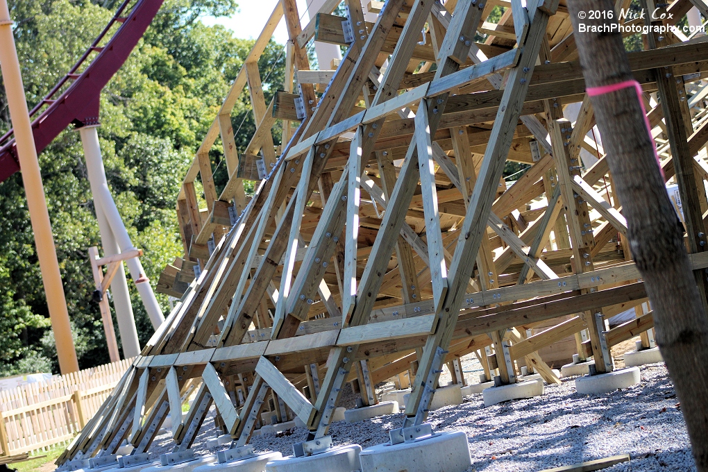 A tree soon to be cut down along with the structure of Mystic Timbers.